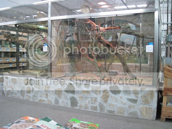 Uitstapje Naar Zoo Zajac Hamsterforum