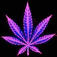 pot leaf gif photo: LEAF ANIMATIONCOLORCHANGE.gif