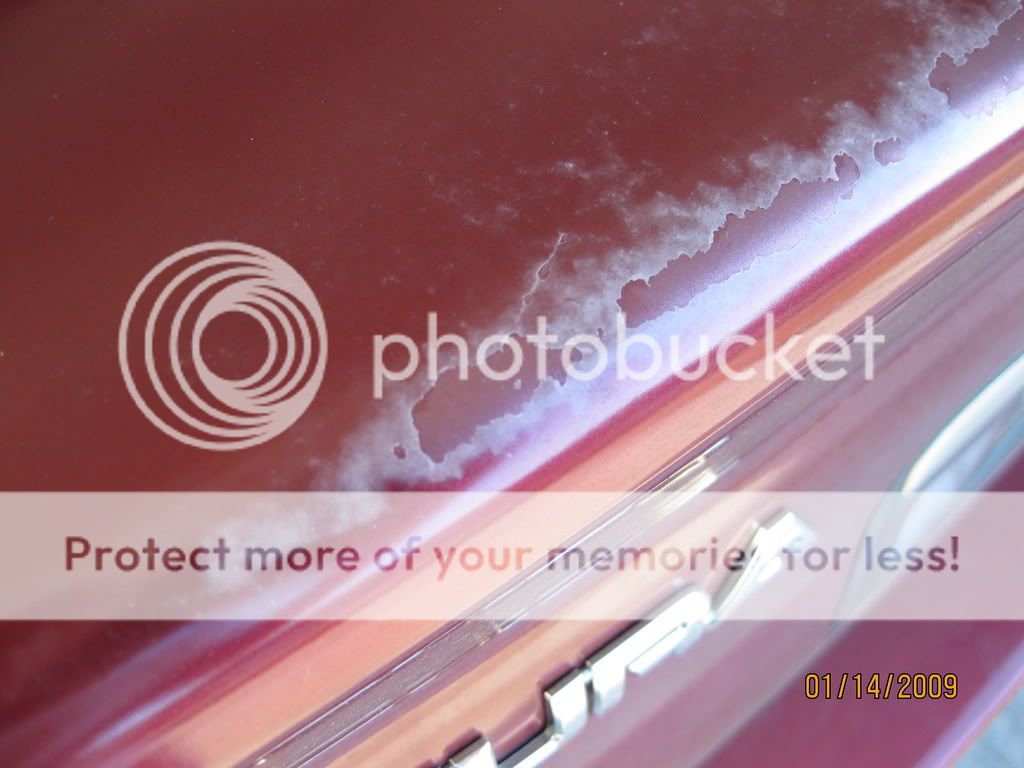 Paint Problem clear coat coming off possible delamination? AcuraZine