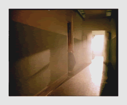 th_294nlsz.gif