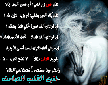 ������ ���� ������ �� ���� ������