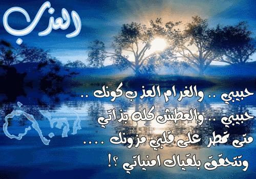 ������ ���� ������ �� ���� ������