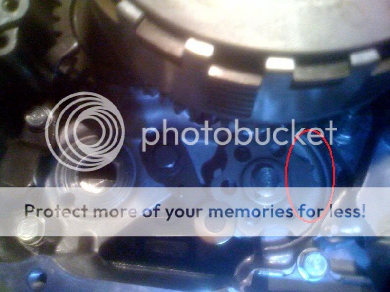 Posted Image