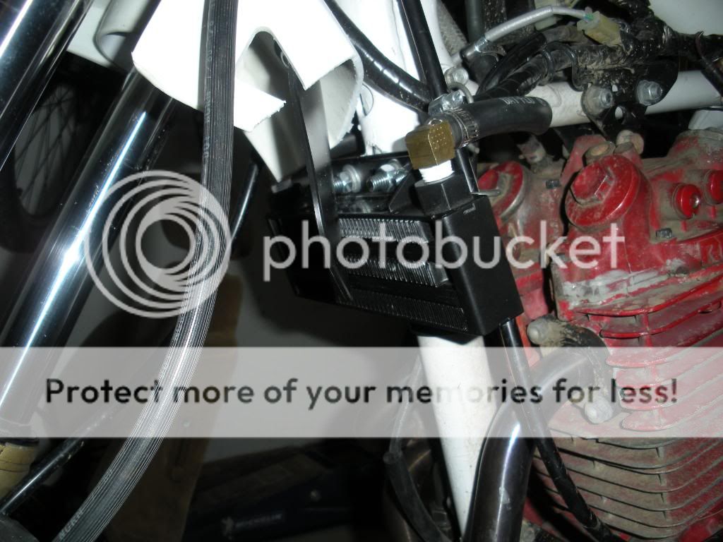 Brand new White Brothers Xl600R oil cooler installation Adventure Rider