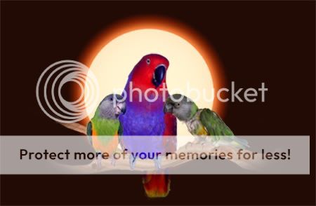 Posted Image