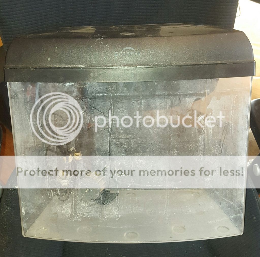 20160123 143901 resized - Free to good home:  Marineland Eclipse tank, hood, light